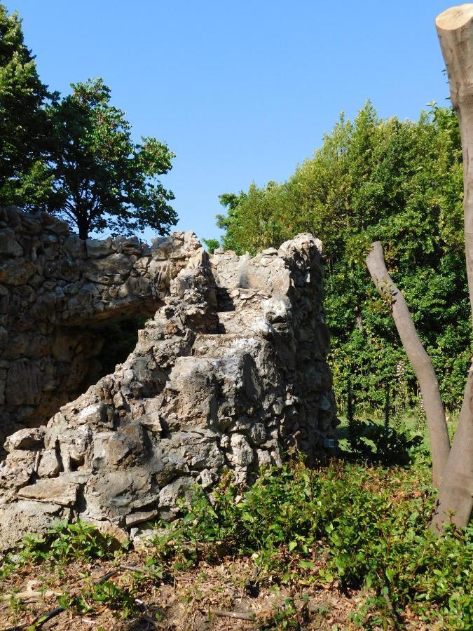 Appartamento con piscina immersa nel verde Cascina Esterno foto