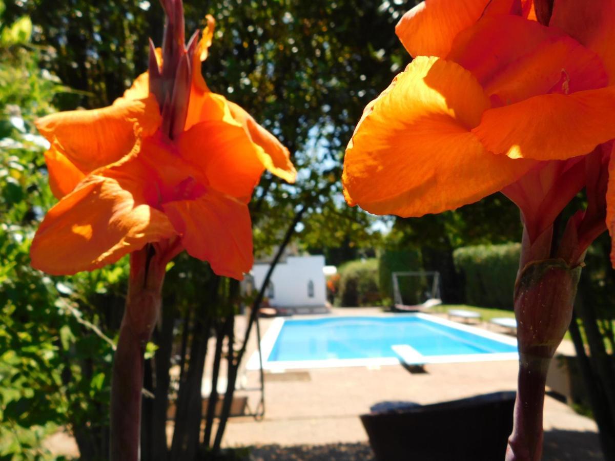 Appartamento con piscina immersa nel verde Cascina Esterno foto