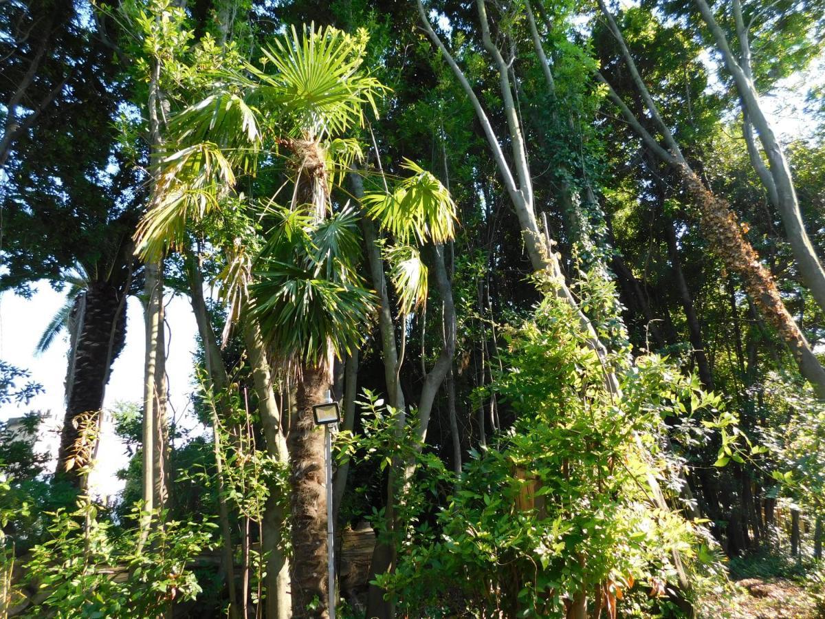 Appartamento con piscina immersa nel verde Cascina Esterno foto