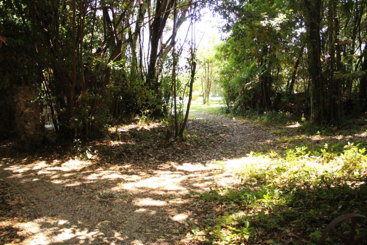 Appartamento con piscina immersa nel verde Cascina Esterno foto
